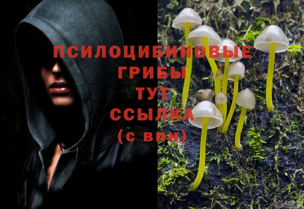 прущие крисы Алексин