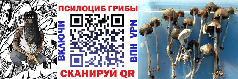 Галлюциногенные грибы мухоморы  Краснообск 